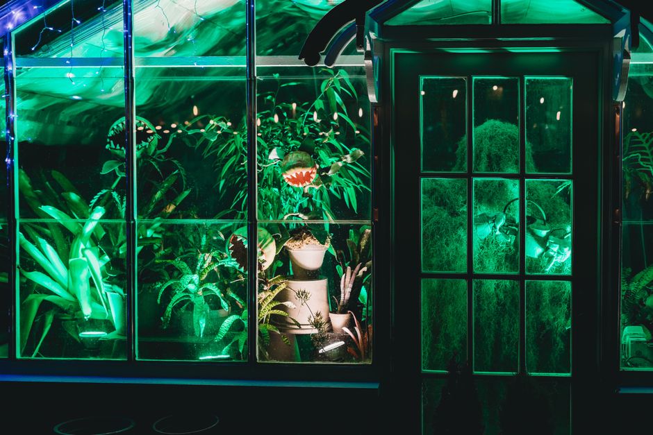 Tuin met stralende bioluminescente flora. Tuin met stralende bioluminescente flora.