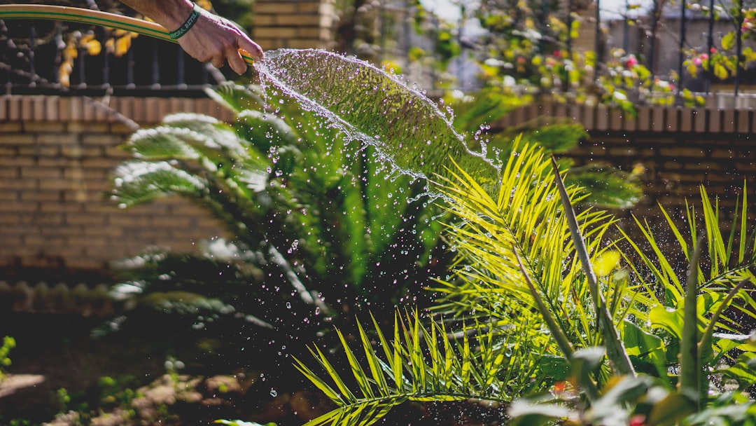 De kunst van waterbesparing in je tuin: technologie ontmoet traditie