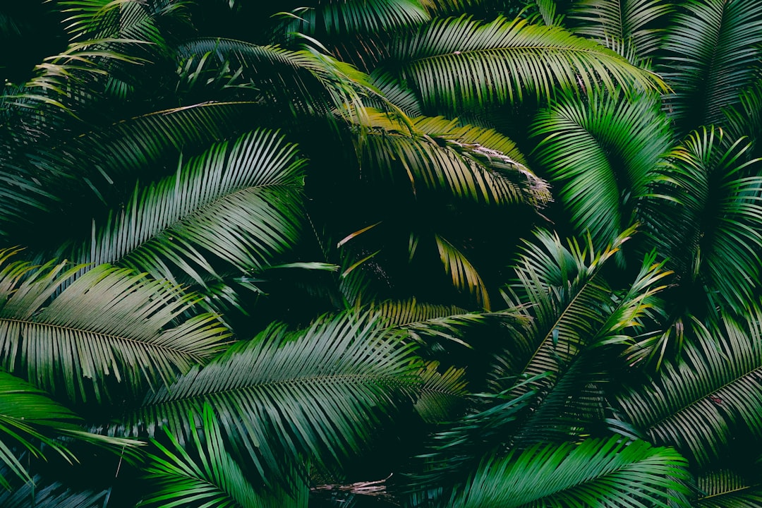 Een tropisch tintje toevoegen: kleurrijk design met exotisch behang