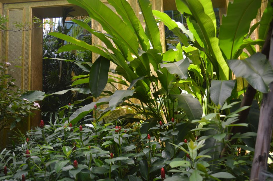 Tuinkamer met tropische meubels en kleurrijke bloemen. Tuinkamer met tropische meubels en kleurrijke bloemen.